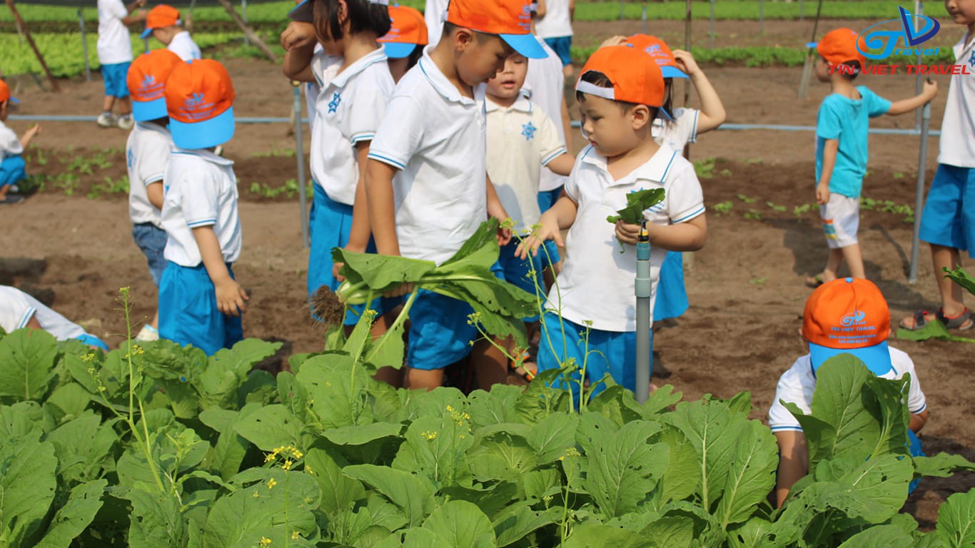 Sunday Travel tổ chức các Chuyến tham quan dã ngoại trải nghiệm trại hè, hướng nghiệp